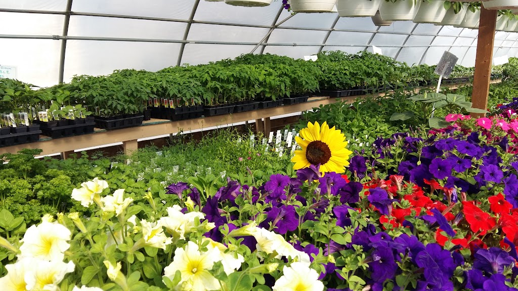 Kurbis Country Market | 42055 Hwy 317, Dencross, MB R0E 0C0, Canada | Phone: (204) 265-3082