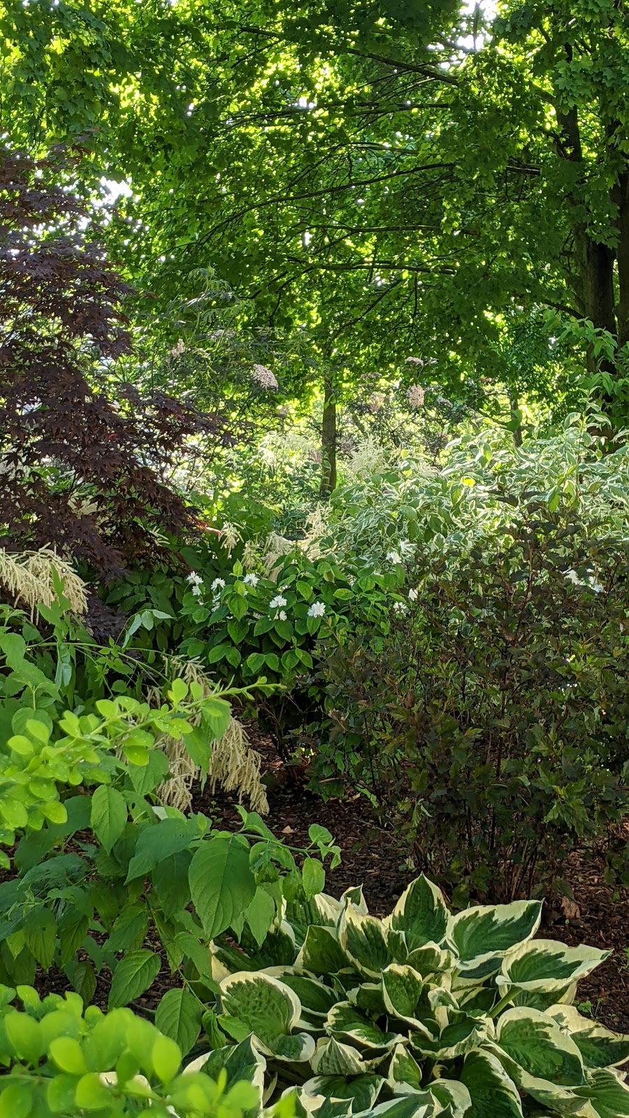 Garden of Grace | 26 Norfolk St, Guelph, ON N1H 4H8, Canada | Phone: (519) 836-6311