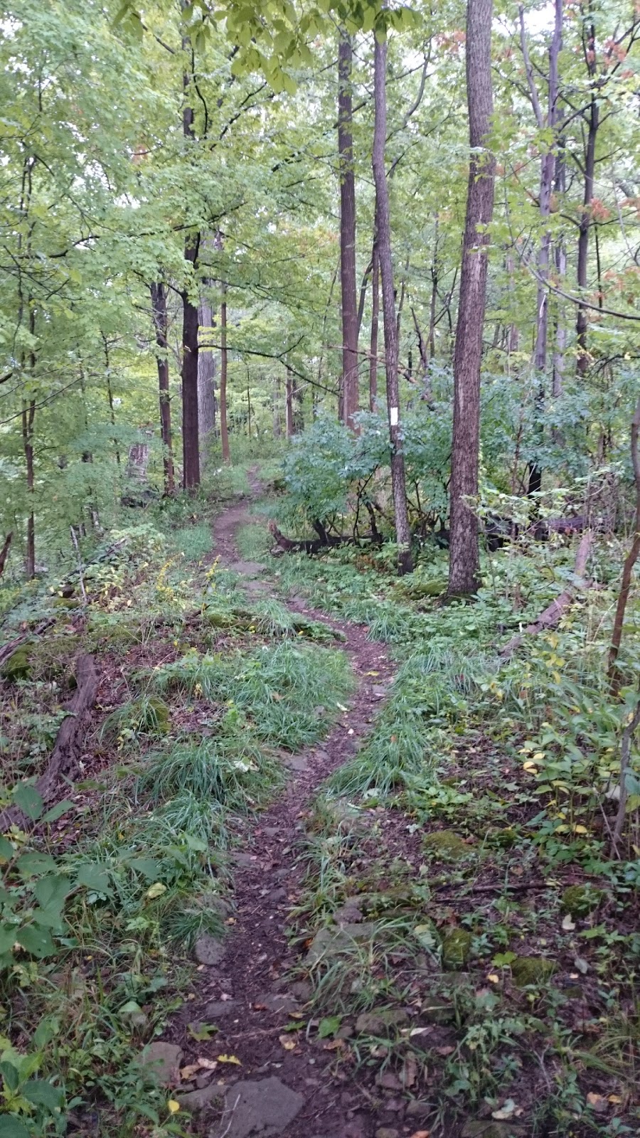 Royal Botanical Gardens Berry Tract | Bruce Trail, Dundas, ON L9H 5S7, Canada | Phone: (905) 527-1158