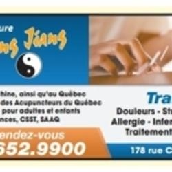 Acupuncture Qing Jiang | 178 Rue Choquette, Dollard-des-Ormeaux, QC H9A 3H1, Canada | Phone: (514) 652-9900