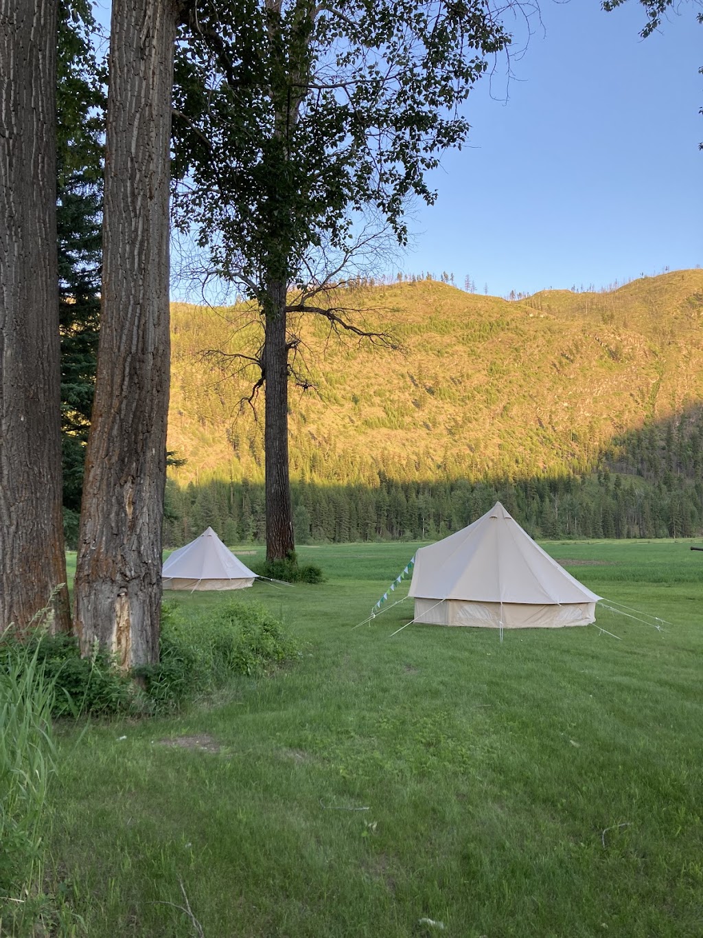 Wild Havens Pop Up Glamping | 7360 Pemberton Farm Rd E, Pemberton, BC V0N 2L3, Canada | Phone: (604) 774-8696