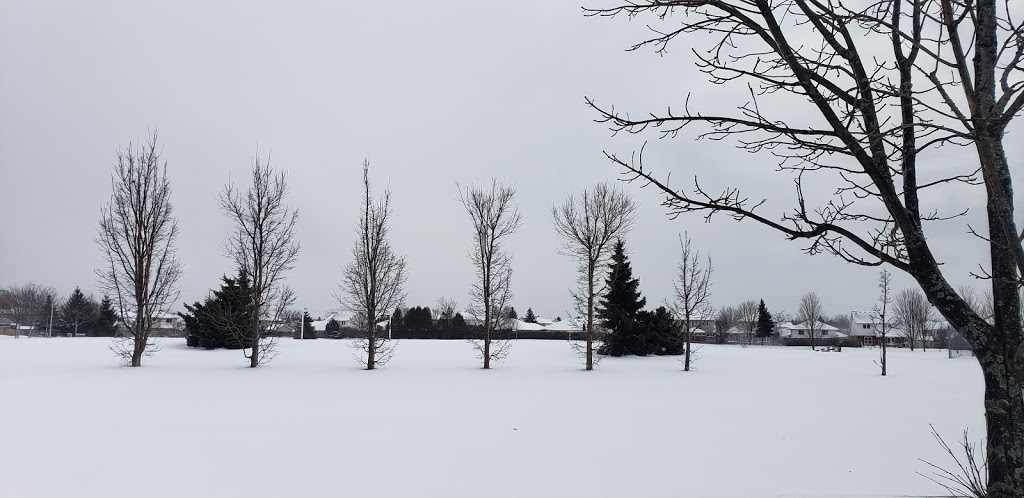 Niagara Park | 8C6, 360 Niagara Dr, Oshawa, ON L1G 8B8, Canada | Phone: (905) 436-3311