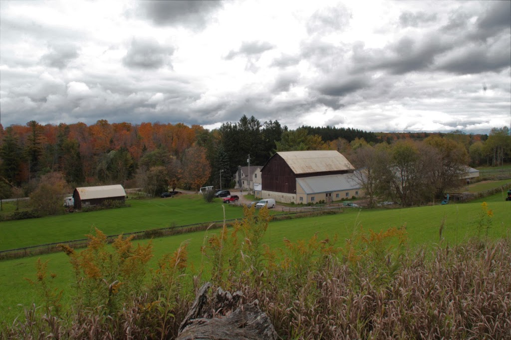 Toronto Equestrian | 3563 Vandorf Road, Whitchurch-Stouffville, ON L4A 4H5, Canada | Phone: (647) 996-0897