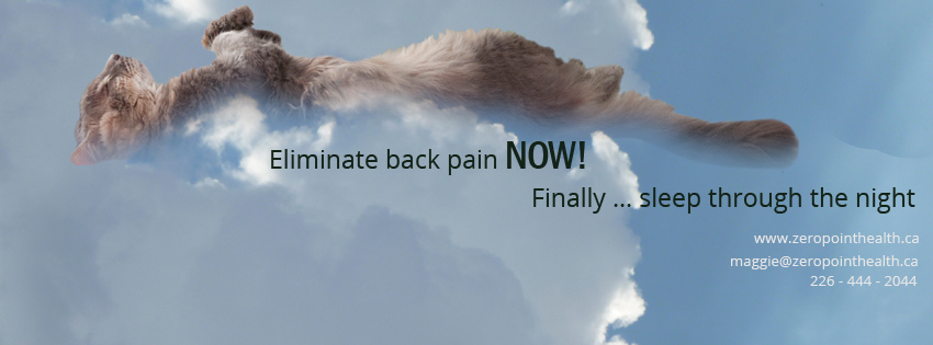 Zero Point Health | 20 Grandview Ave, Cambridge, ON N1R 1E7, Canada | Phone: (226) 444-2044