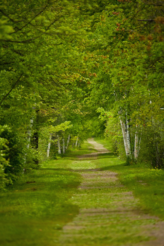 Jim Campbell Real Estate: Ryan Pronto | 601 E Main St, Newport, VT 05855, USA | Phone: (802) 334-3400