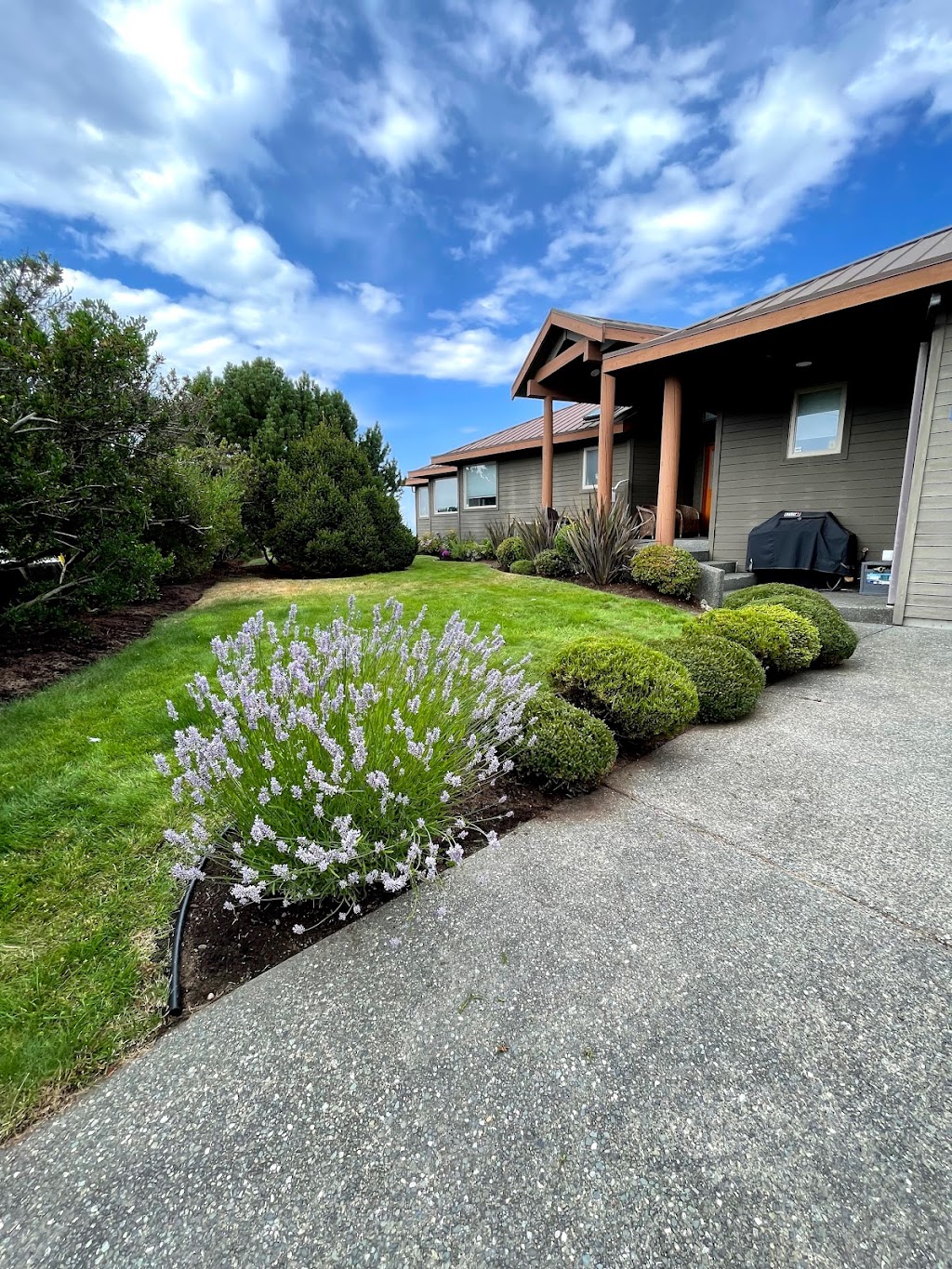 Terra Vie Landscaping | Piercy Rd, Courtenay, BC V9J 1P7, Canada | Phone: (250) 207-0599