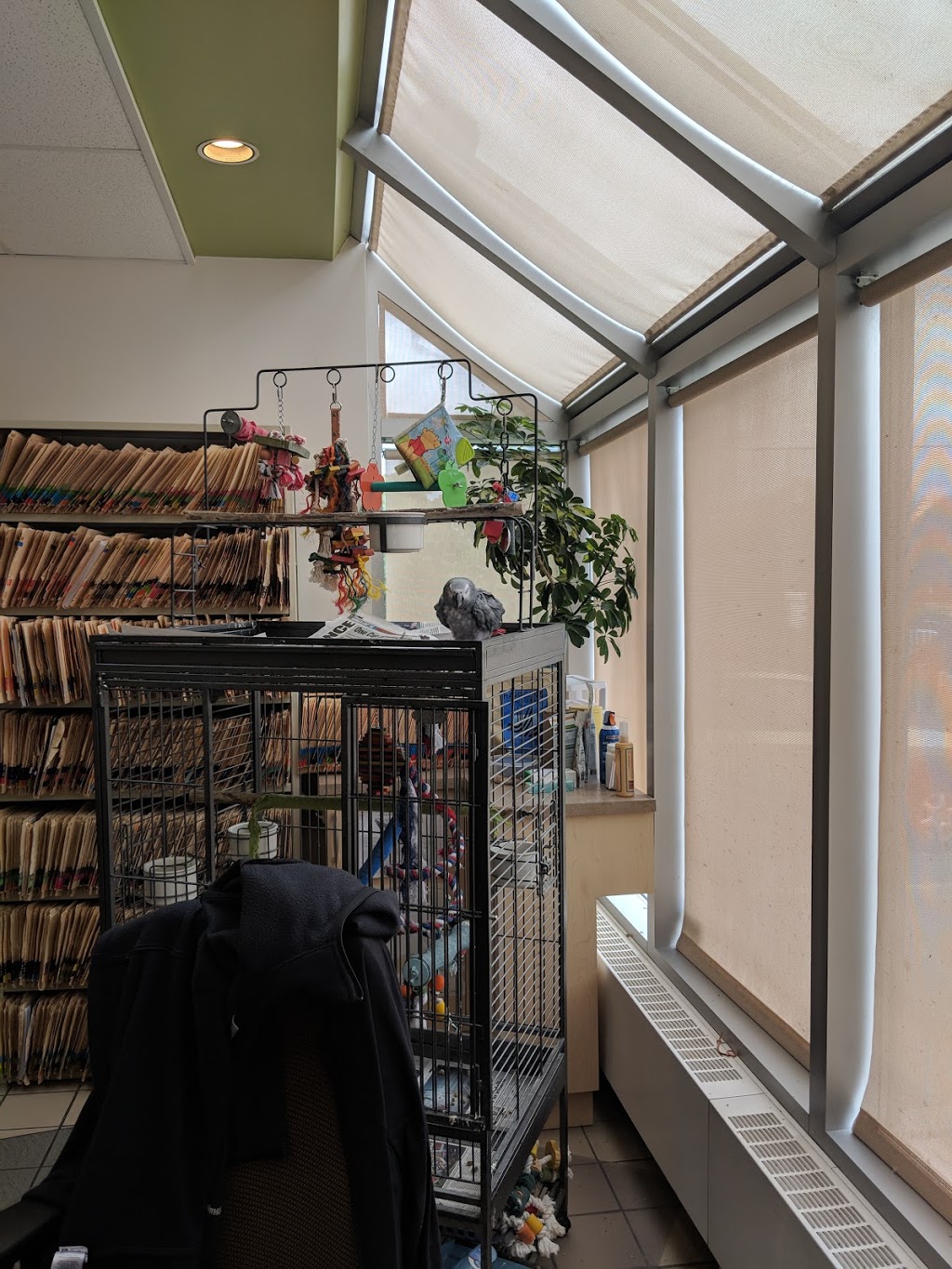 Veterinary Hospital Taché | 345 Boul Alexandre-Taché, Gatineau, QC J9A 1M3, Canada | Phone: (819) 777-5583