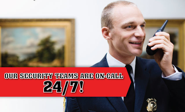 Polo Security Services Ltd | 7251 Fraser St, Vancouver, BC V5X 3V8, Canada | Phone: (604) 321-4046