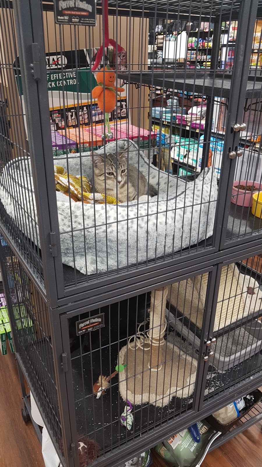 Bosleys by Pet Valu | 1982 Kane Rd, Kelowna, BC V1V 2E5, Canada | Phone: (250) 868-0586