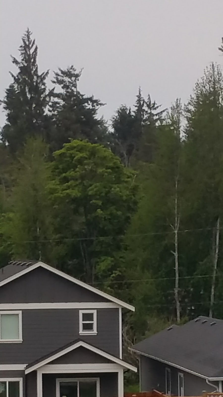 Whiffin Spit Lodge Bed and Breakfast | 7031 W Coast Rd, Sooke, BC V9Z 0S4, Canada | Phone: (250) 642-3041