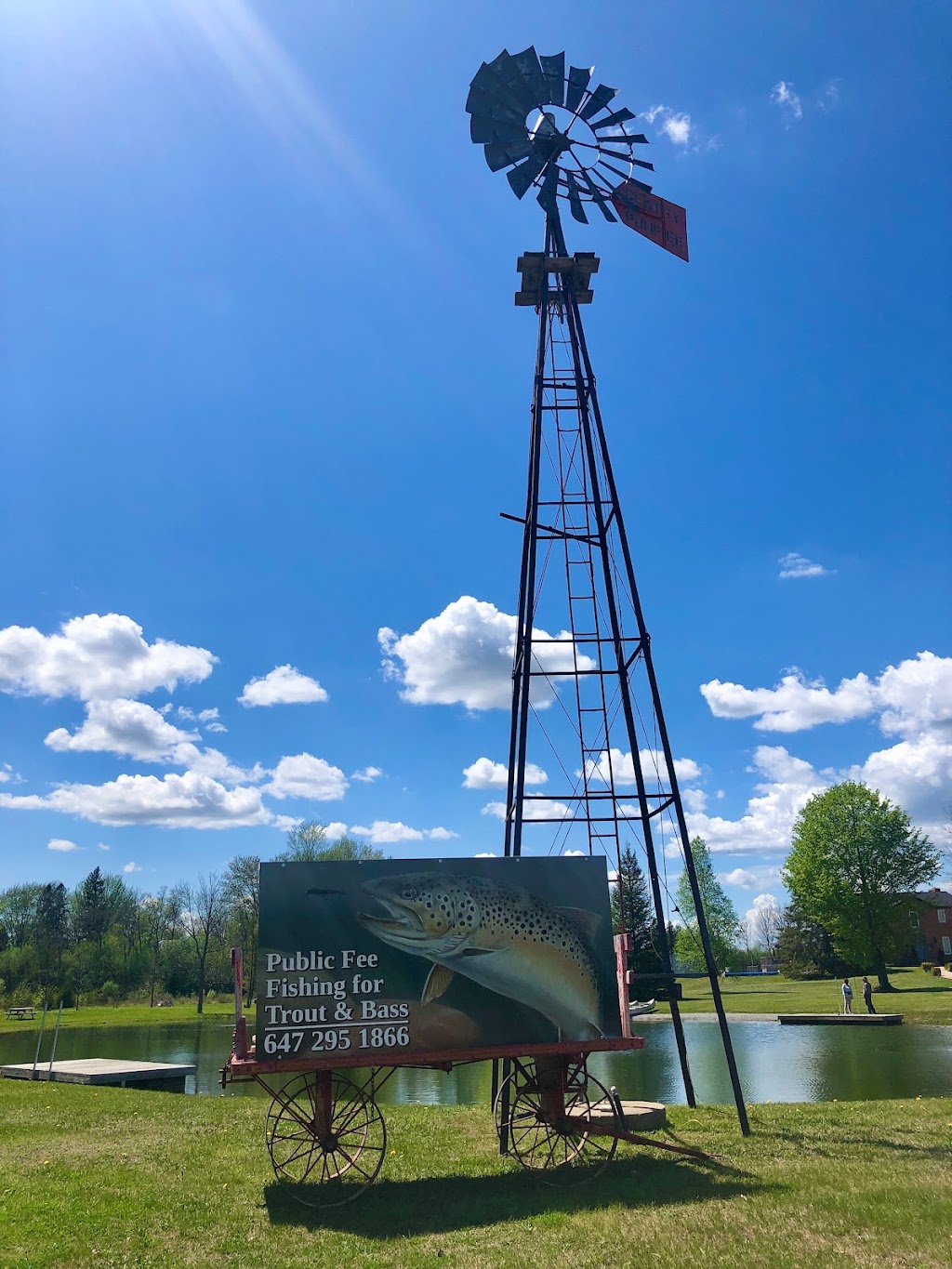 Public Fee Fishing | 25472 Lake Ridge Rd, Georgina, ON L0E 1N0, Canada | Phone: (647) 295-1866