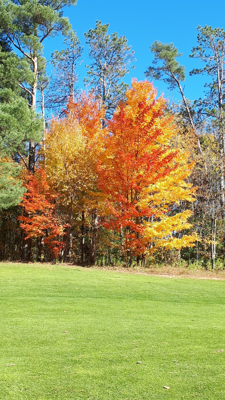 Black Diamond Golf Club | 705 Pontypool Rd, Pontypool, ON L0A 1K0, Canada | Phone: (705) 932-4653