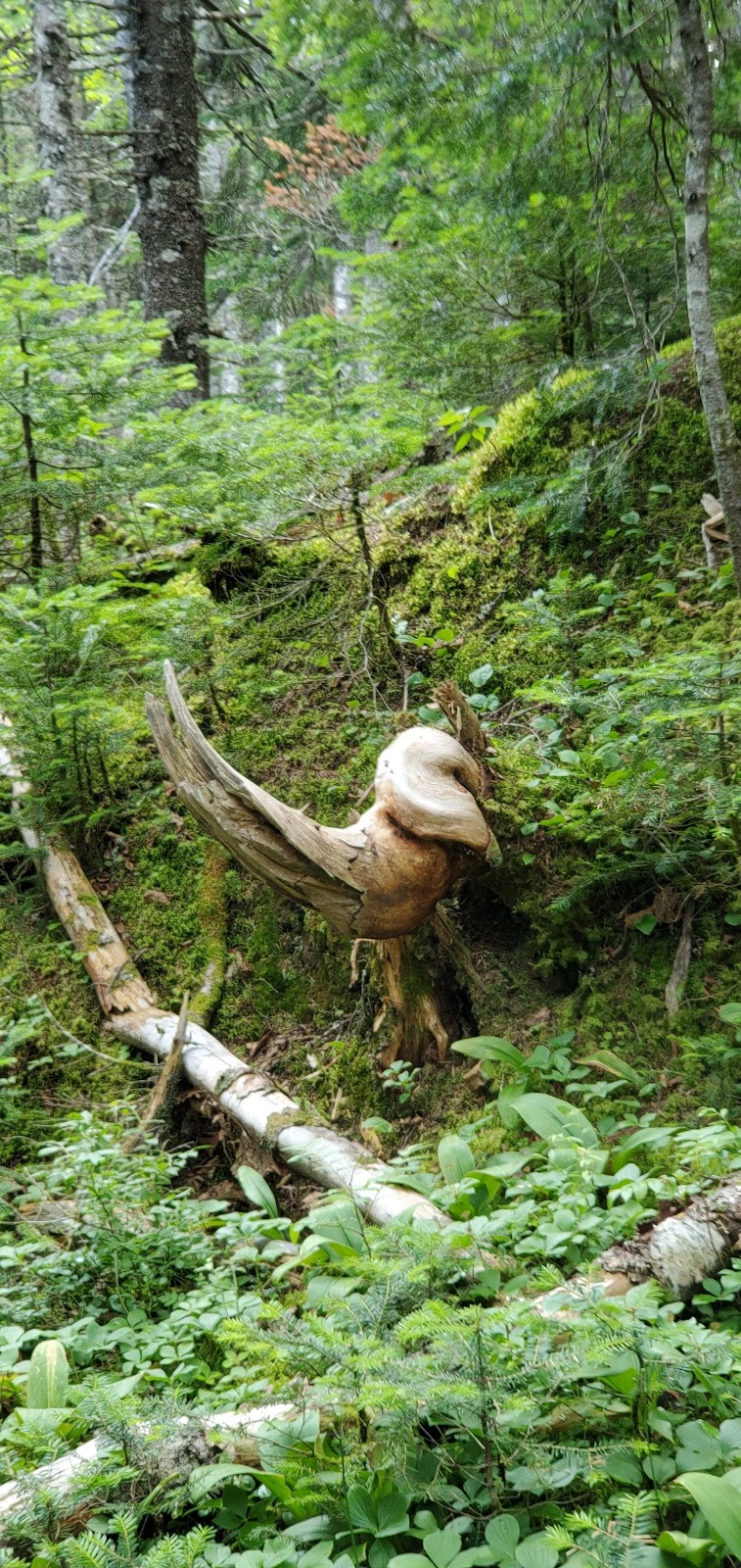 Mont Bélanger | Chem. du Club, Saint-Robert-Bellarmin, QC G0M 2E0, Canada | Phone: (418) 313-2046