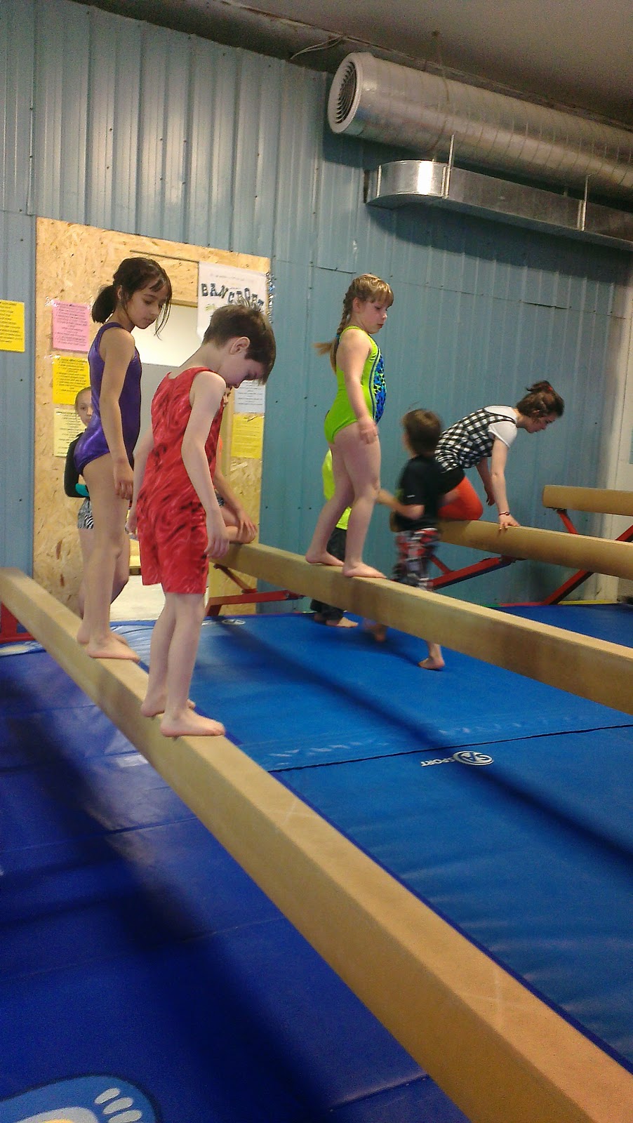 Bancroft Gems Gymnastics | 29556 Hwy 28 South, Bancroft, ON K0L 1C0, Canada | Phone: (613) 332-6100