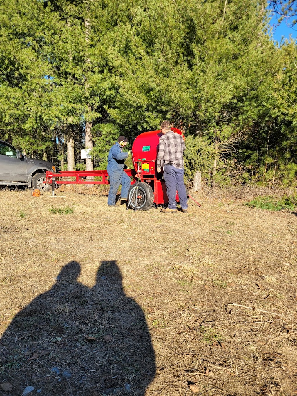 Skootamatta Tree Farms | 2800 Upper Flinton Rd, Flinton, ON K0H 1P0, Canada | Phone: (613) 336-8774