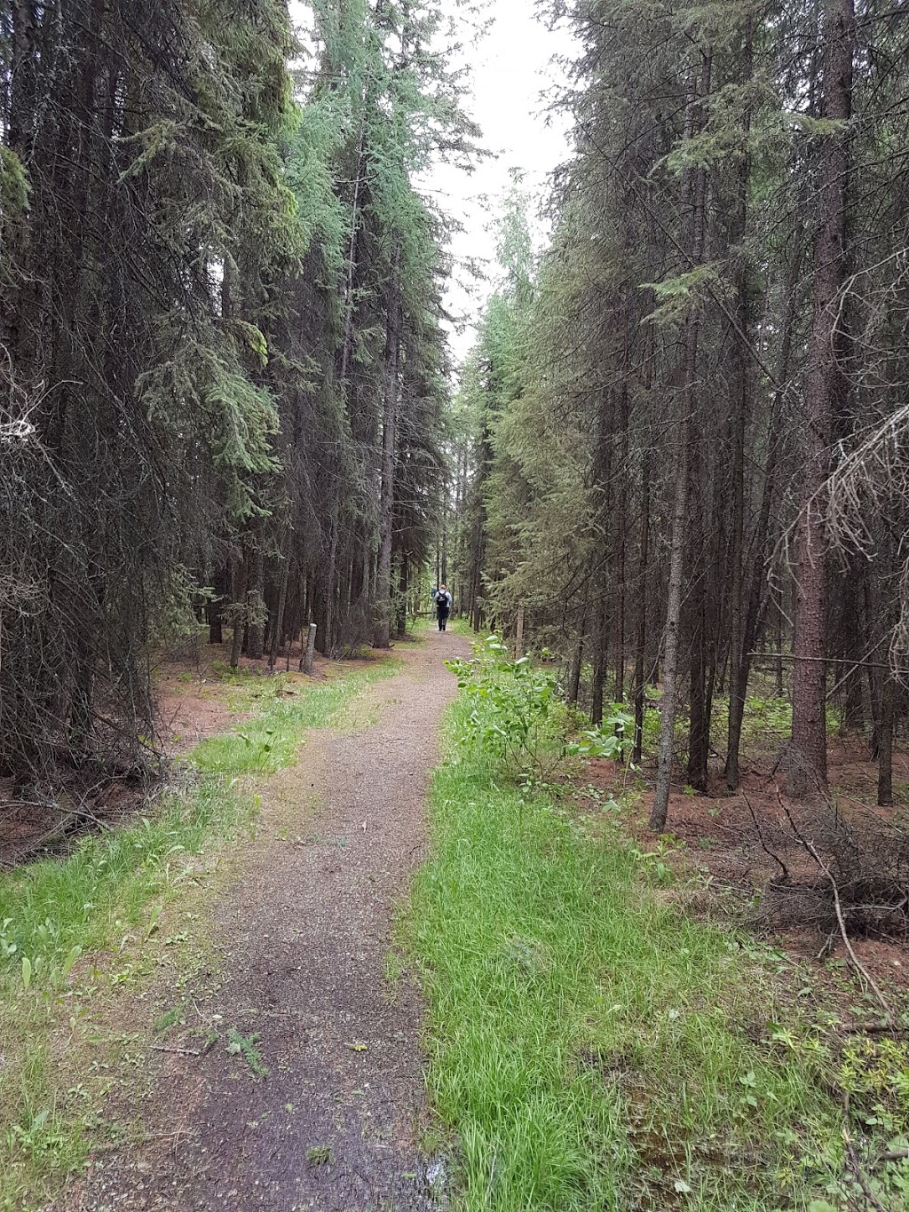 Wagner Natural Area | 30531 118 Ave., Acheson, AB T7X 6M5, Canada