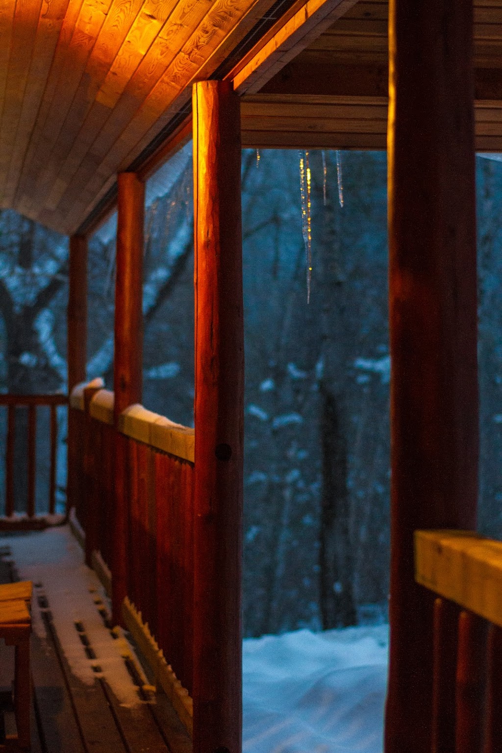 Fernie Wilderness Adventures | East Kootenay A, BC V0B 1M6, Canada | Phone: (250) 423-6707