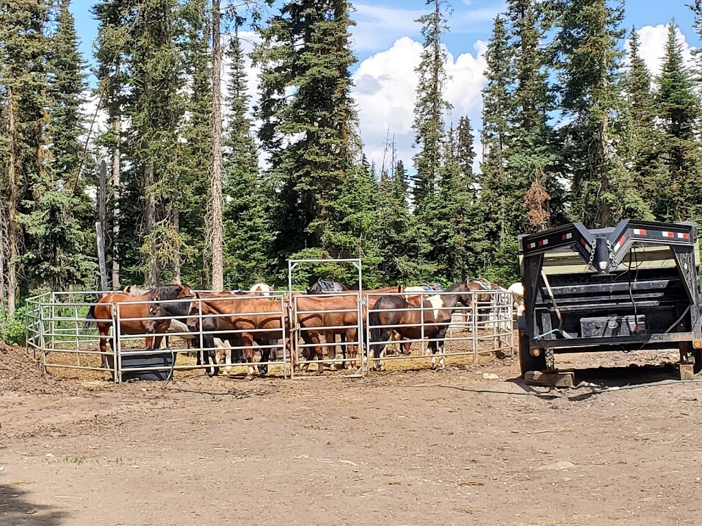 Timberline Tours Ltd | 101 St Piran Rd, Lake Louise, AB T0L 1E0, Canada | Phone: (403) 522-3743