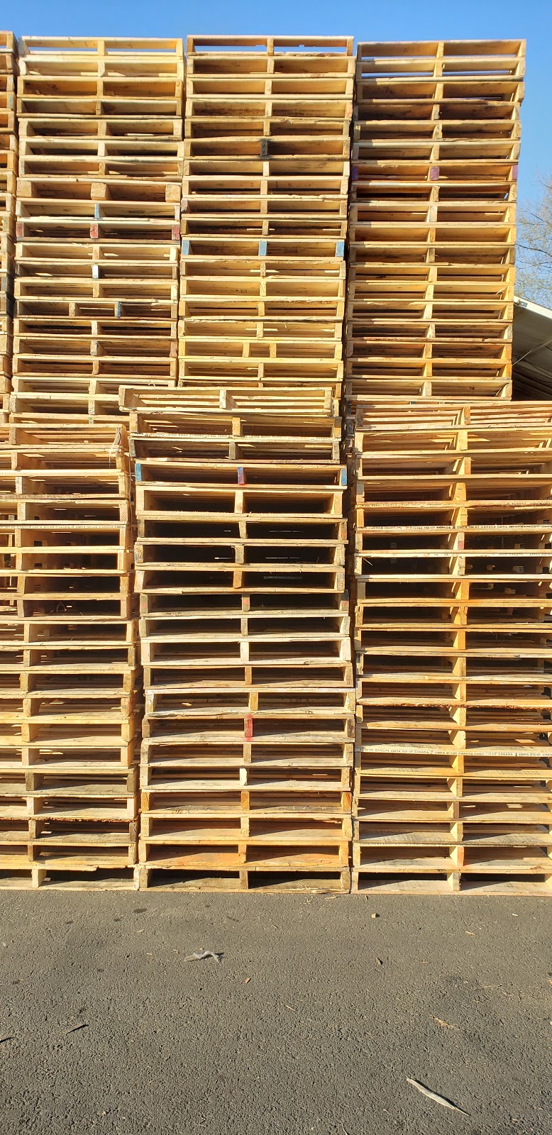 A 2 Z Pallets Ltd | 10610 Span Rd, Surrey, BC V3V 8A1, Canada | Phone: (604) 825-7187