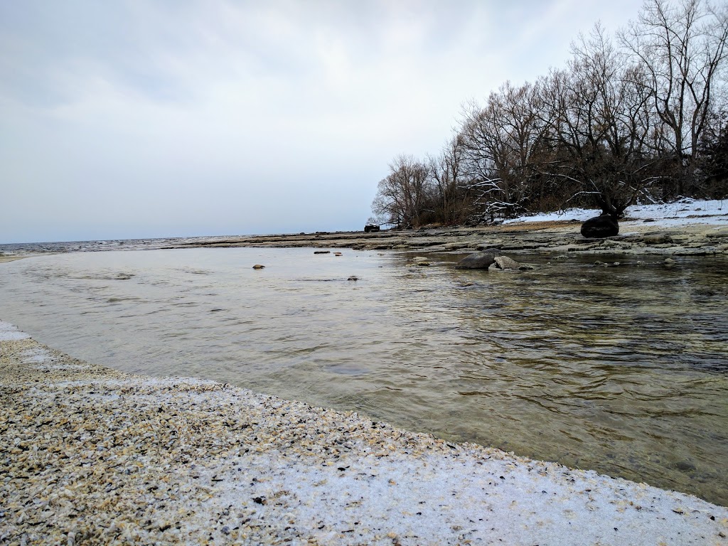 El Dorado Beach Preserve | Grandjean Rd, Henderson, NY 13650, USA | Phone: (315) 387-3600