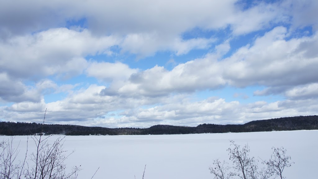 Algonquin Treks - Guided Canoe Trips | Box 116, Whitney, ON K0J 2M0, Canada | Phone: (613) 800-2106