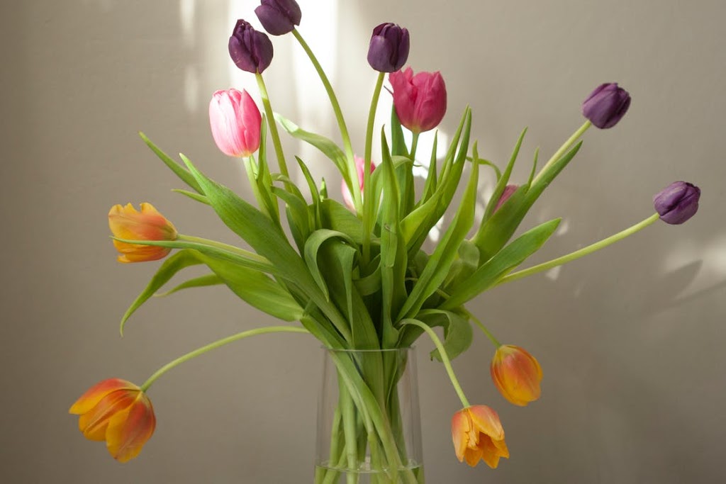 Oakville Florist Shop | 511 Maple Grove Dr #26, Oakville, ON L6J 4W3, Canada | Phone: (905) 849-8885