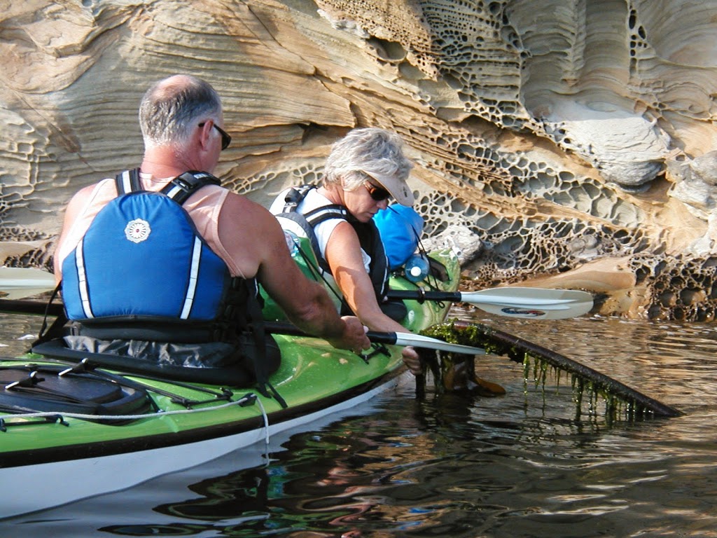 Anacortes Kayak Tours | 2009 Skyline Way, Anacortes, WA 98221, USA | Phone: (360) 588-1117