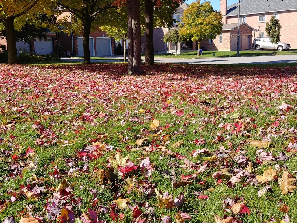 Ventura Park | 32 Mulholland Dr, Thornhill, ON L4J 7T7, Canada | Phone: (905) 832-2281