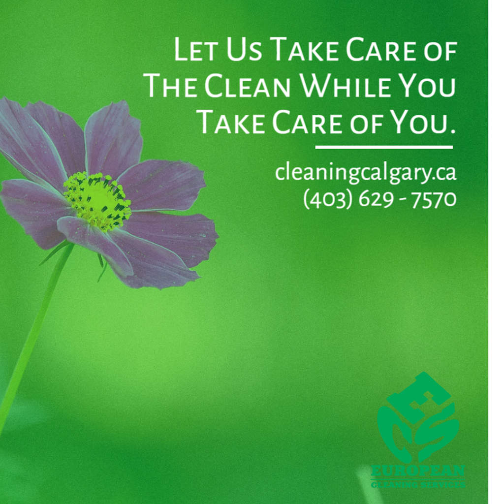 European Cleaning Services | 10 Prestwick Bay SE, Calgary, AB T2Z 0E6, Canada | Phone: (403) 629-7570