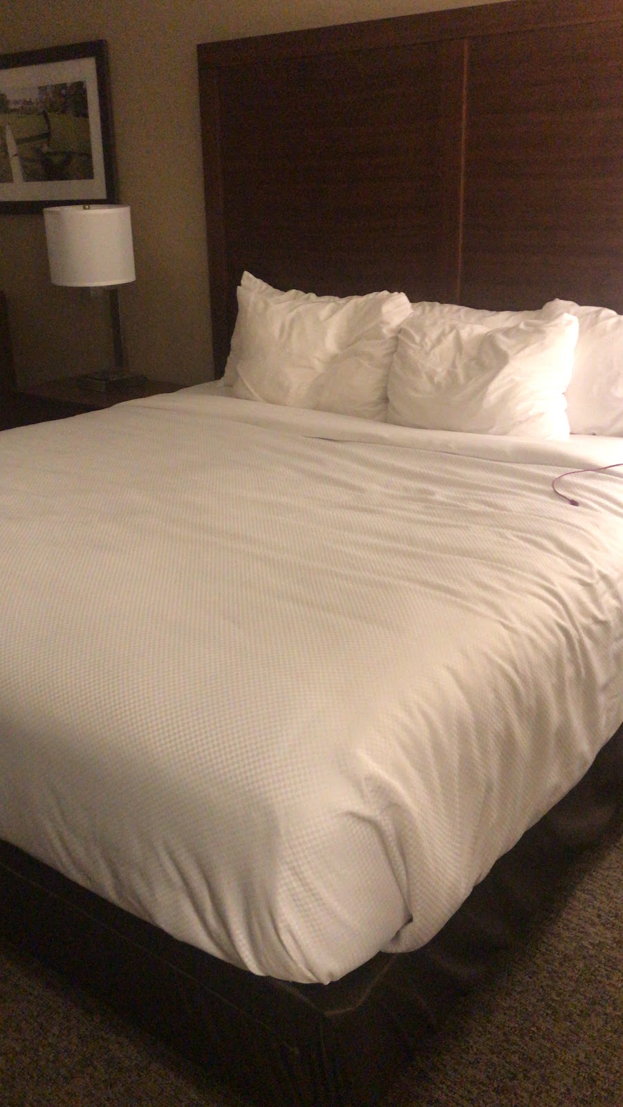 Comfort Inn & Suites | 135 Gibbons St, Goderich, ON N7A 3J5, Canada | Phone: (519) 440-0215