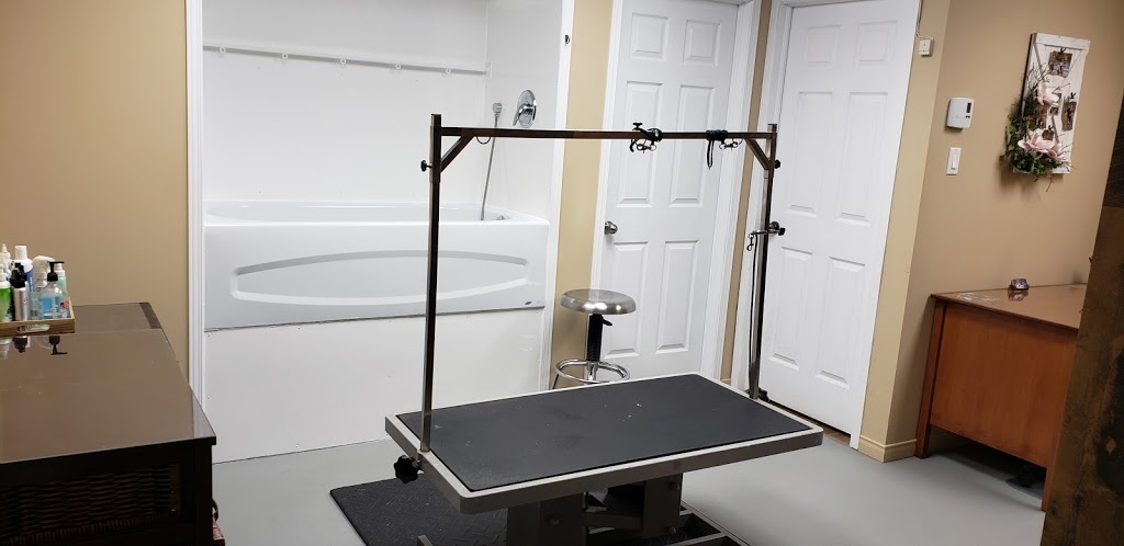 Toilettage Caro-Canin | 252 5e Rang, Saint-Ferdinand, QC G0N 1N0, Canada | Phone: (819) 362-5567