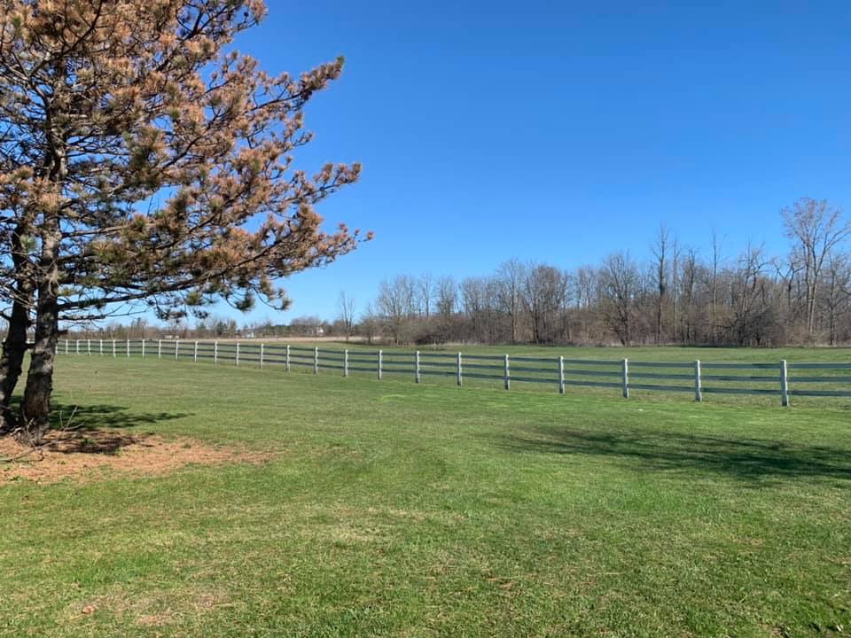 Grassroots Equestrian | 6119 Mandaumin Rd, Camlachie, ON N0N 1E0, Canada | Phone: (519) 381-1709