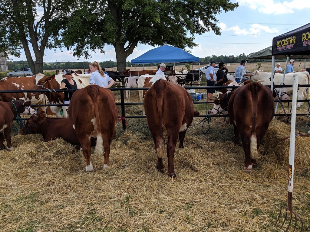 Oro-Medonte Fairgrounds | 80 Sideroad 15 & 16 E, Oro Station, ON L0L 2E0, Canada | Phone: (705) 487-1753