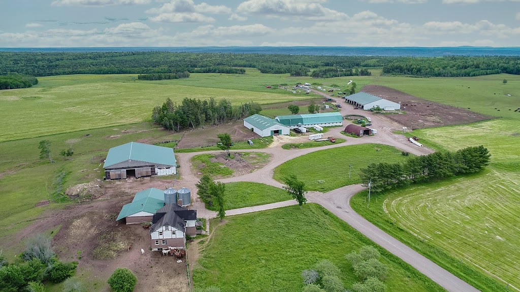 Angus Arabian Devon East | 205 Austin Rd, Mill Cove, NB E4C 3C1, Canada | Phone: (506) 488-2181