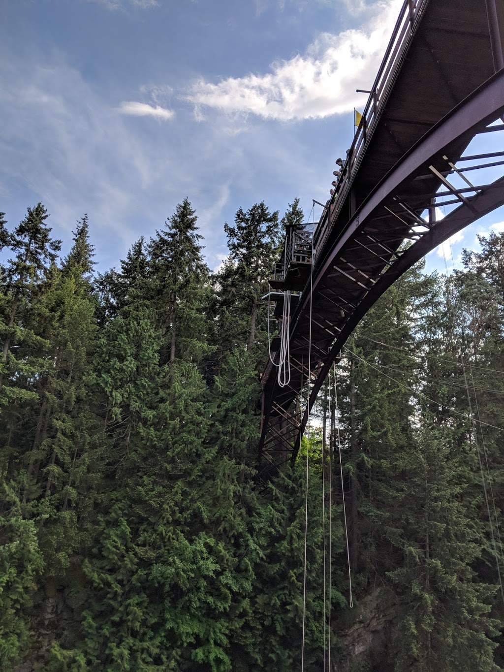 WildPlay Element Parks, Nanaimo | 35 Nanaimo River Rd, Nanaimo, BC V9X 1S5, Canada | Phone: (855) 595-2251
