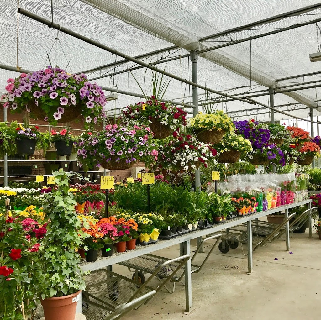 Four Seasons Garden Centre | 2160 Albion Rd, Etobicoke, ON M9W 6P4, Canada | Phone: (416) 675-1041