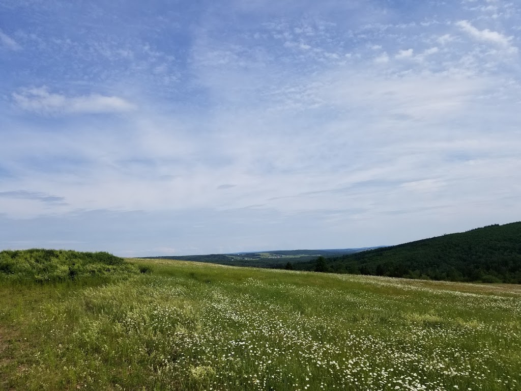 Scenic View Campground | 110 Taylor Rd, Head of Millstream, NB E4G 1S2, Canada | Phone: (506) 432-4608