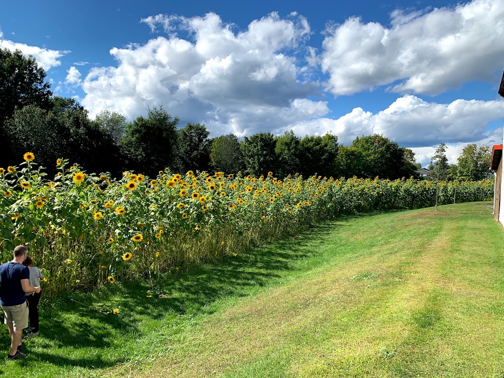Les Jardins Majeau | 118 QC-125, Saint-Esprit, QC J0K 2L0, Canada | Phone: (450) 839-9097