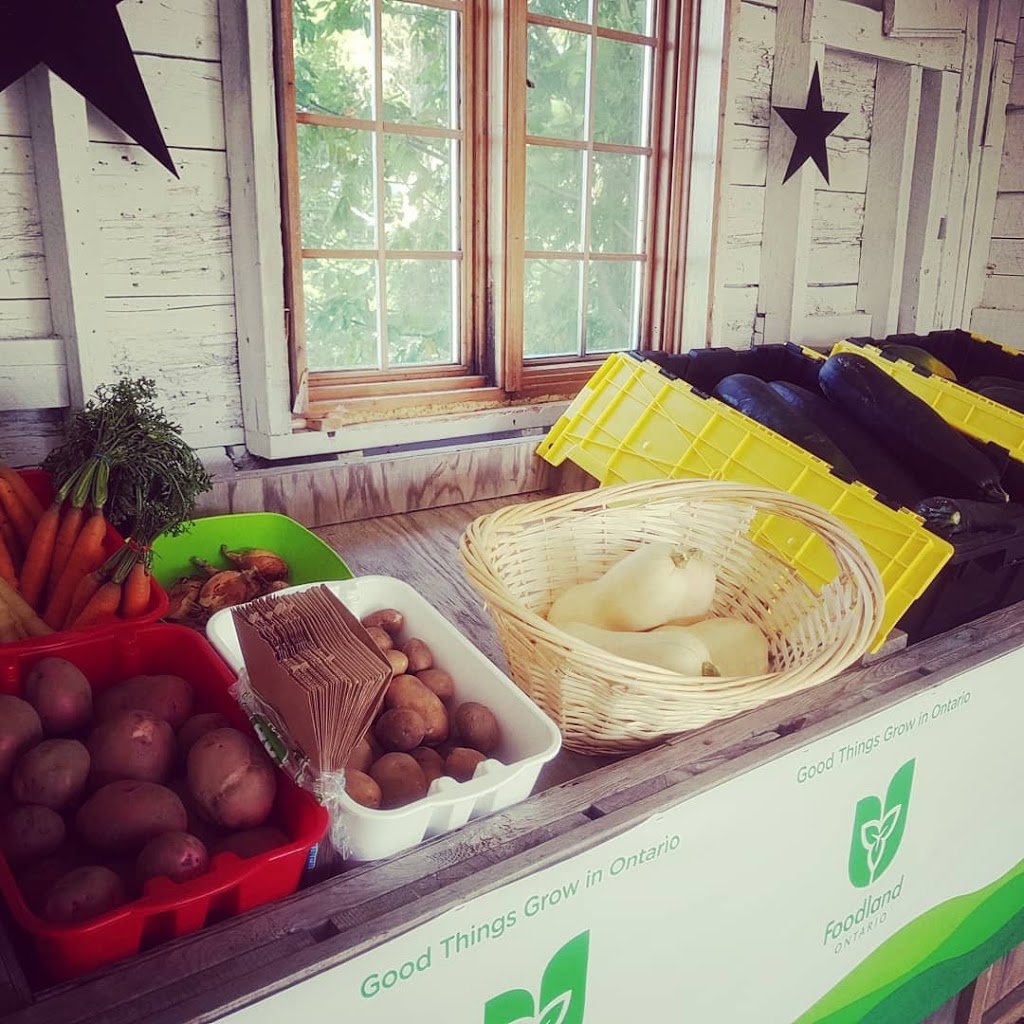 FED Farm | 077580 11 Line, Meaford, ON N4L 1W5, Canada | Phone: (705) 888-4181