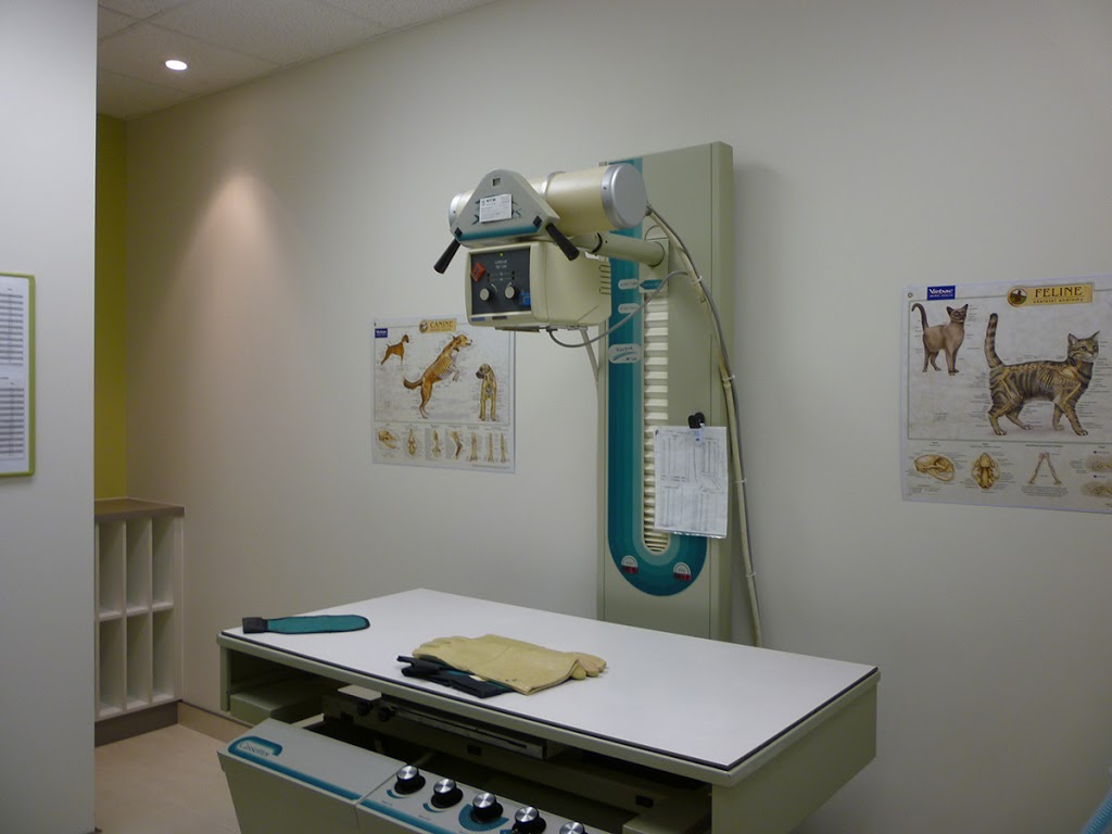 Clinique Vétérinaire Bellefeuille | 1082 Boulevard Roland-Godard, Saint-Jérôme, QC J7Y 4C6, Canada | Phone: (450) 565-0751