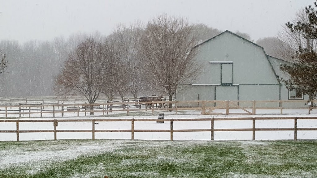 BR Equestrian Centre | 241 Harley Rd, Harley, ON N0E 1E0, Canada | Phone: (519) 755-1377