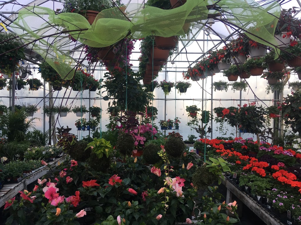 Serres Arc-En-Fleurs Enr (Les) | 6763 QC-112, Disraeli, QC G0N 1E0, Canada | Phone: (418) 449-3809