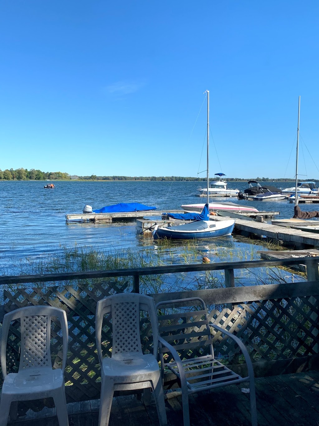 Wellers Bay Campground | 65 Carter Rd, Carrying Place, ON K0K 1L0, Canada | Phone: (613) 475-3113