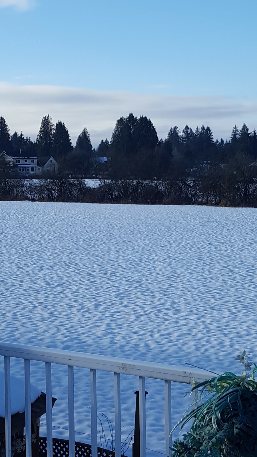 Vandenblumes Cleaning Inc | 12520 Laity St, Maple Ridge, BC V2X 5B5, Canada | Phone: (604) 466-9441