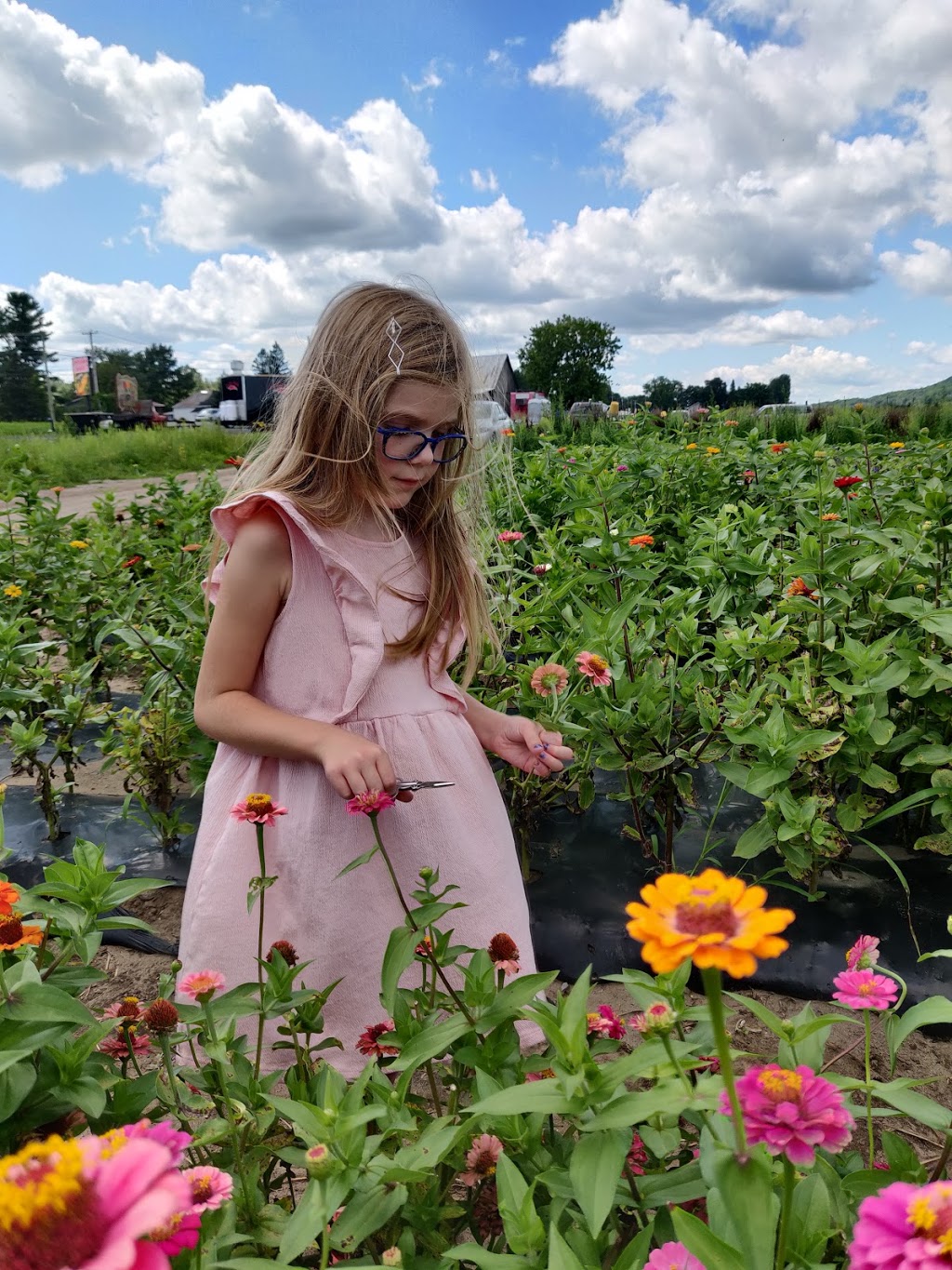 Les Jardins dAbbotsford D.C. | 2355 QC-112, Saint-Paul-dAbbotsford, QC J0E 1A0, Canada | Phone: (450) 379-9744