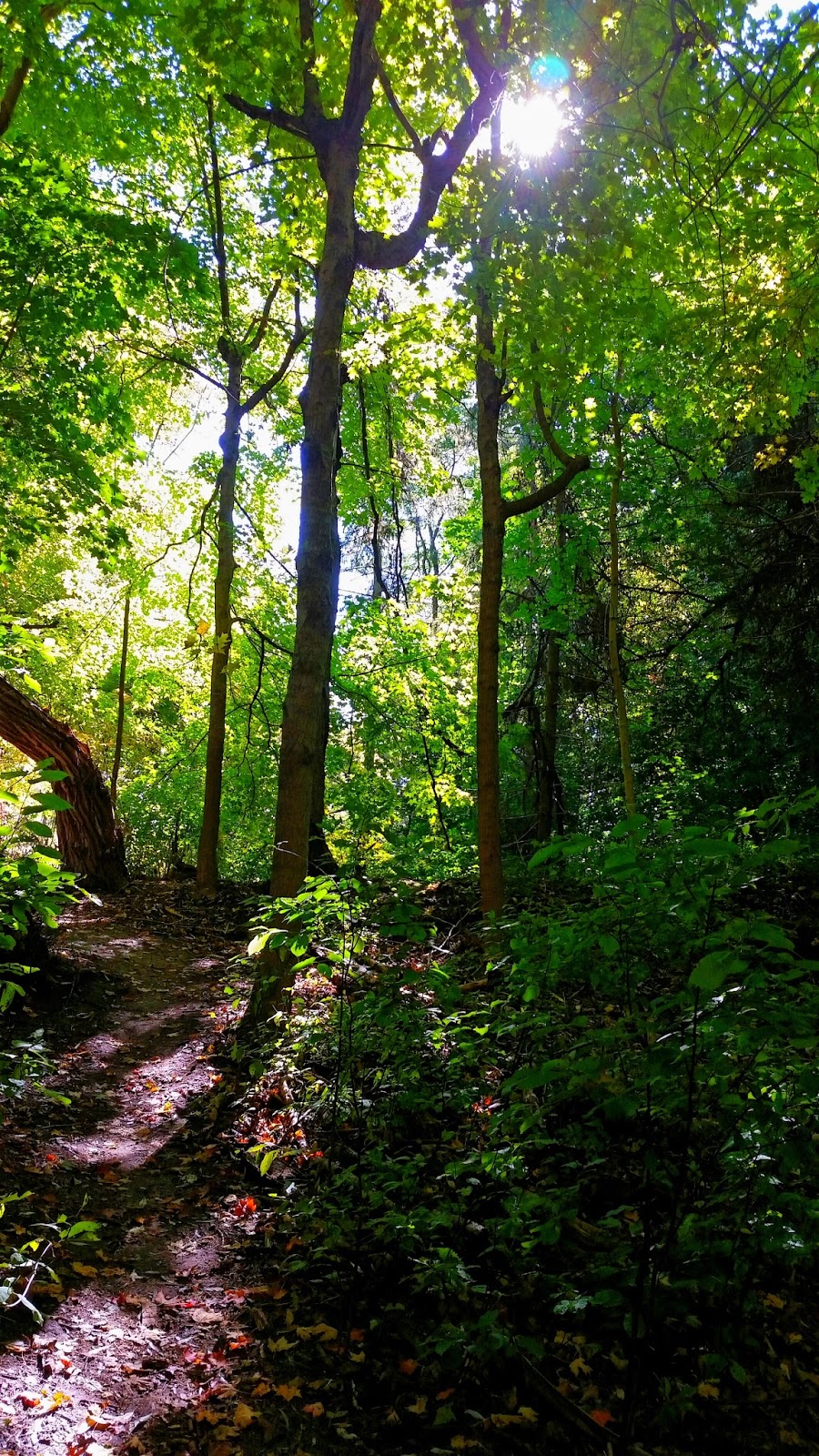 Hinder Property | Willowdale, Toronto, ON, Canada