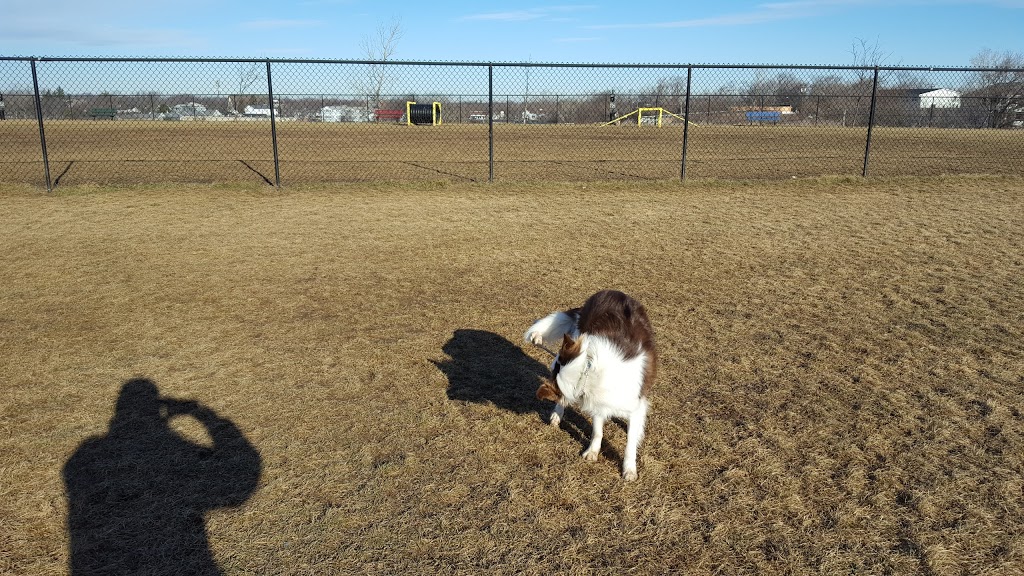 Lewiston Dog Park | Lewiston, NY 14092, USA | Phone: (716) 754-7766
