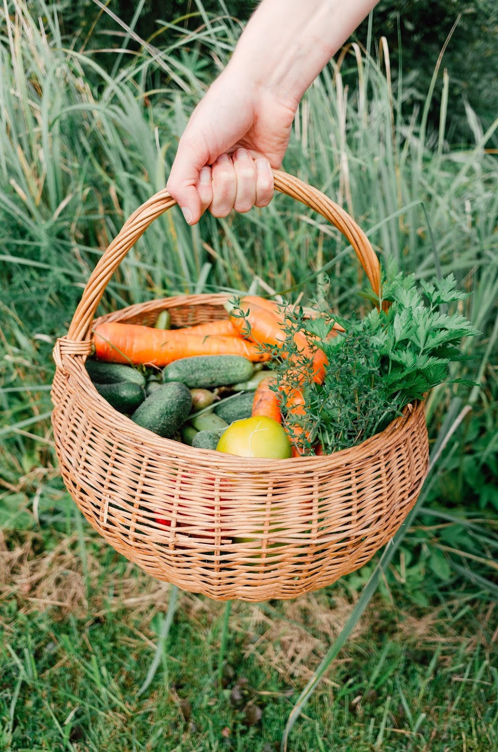 Enracinés - fermette & jardinerie | 2e, Avenue 1 Domaine Morin #317, Saint-Gabriel-de-Brandon, QC J0K 2N0, Canada | Phone: (514) 717-2915