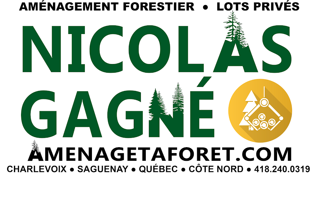 Nicolas Gagné - Aménagement forestier | 56 Rue de la Forêt, Notre-Dame-des-Monts, QC G0T 1L0, Canada | Phone: (418) 240-0319