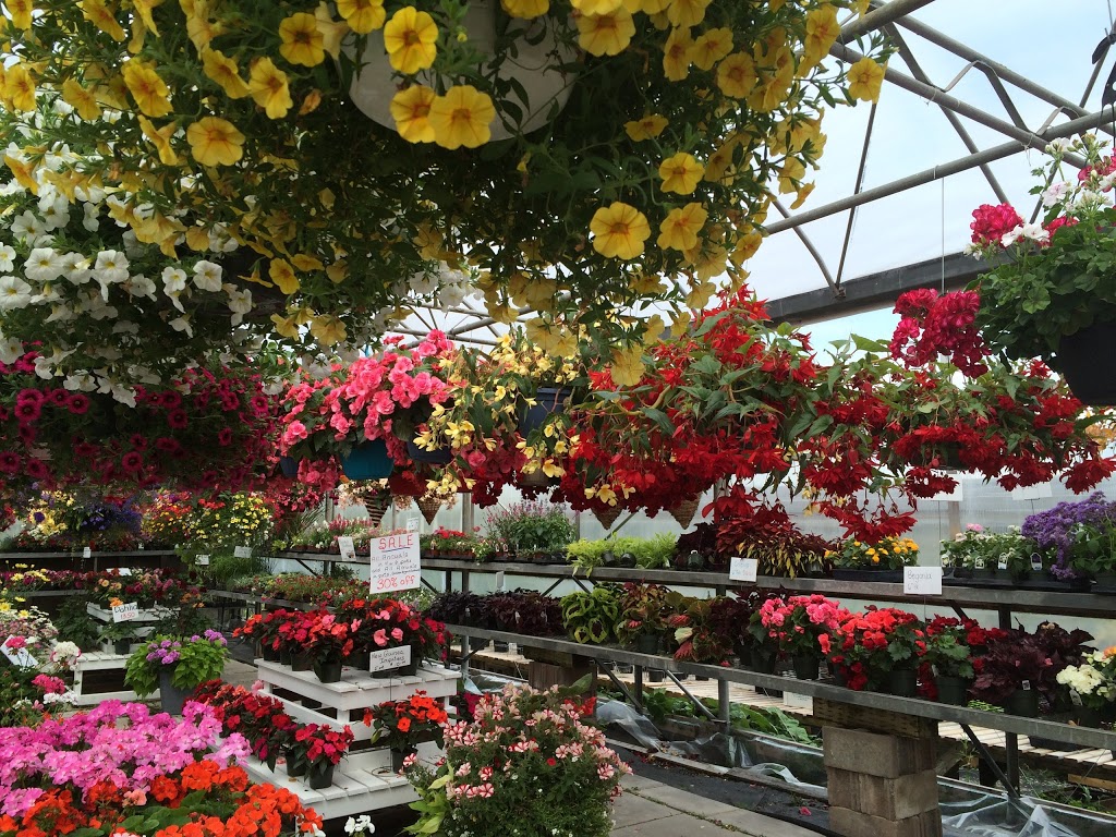 West River Greenhouses | 509, NS-376, Central West River, NS B0K 1H0, Canada | Phone: (902) 925-2088